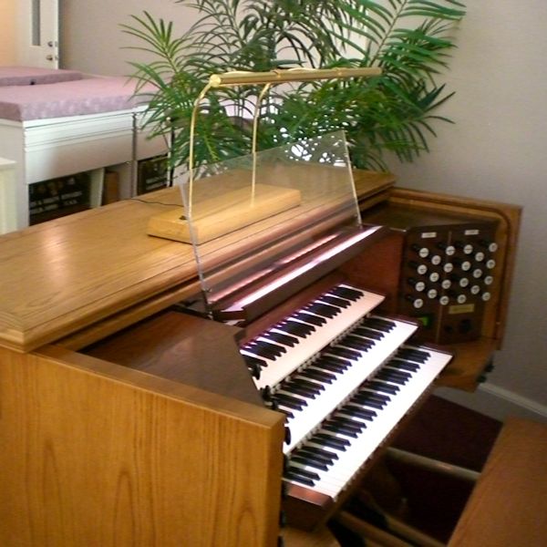 Organ Light